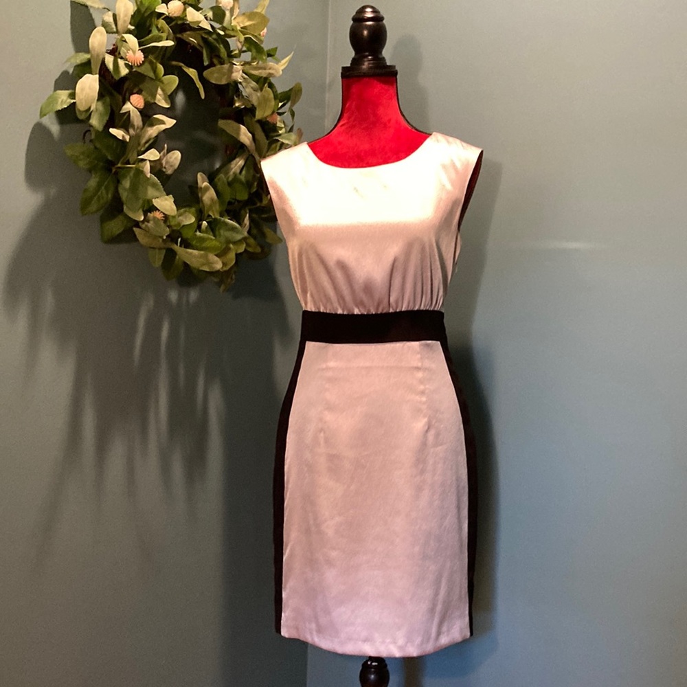 The Limited Black and Silver Dress Size 2